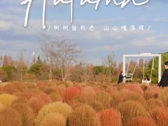 -花开海上生态园