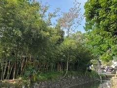 -绩溪龙川景区