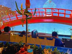 -地球美食剧场