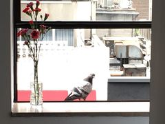 -Hunan Village—湘巴佬