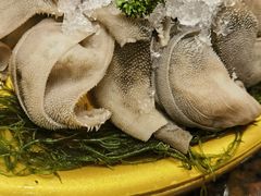 -一斗火锅·招财羊毛肚(上河城店)