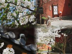 -广富林郊野公园