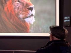 -罗红摄影艺术馆