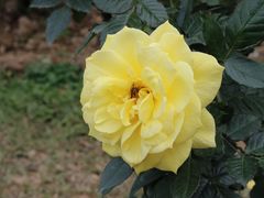 -人民公园(罗湖区)