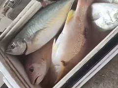 -星海广场