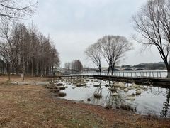 -长广溪湿地公园