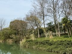 -西溪国家湿地公园