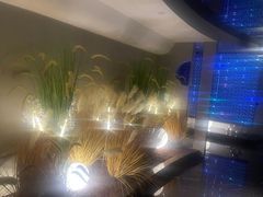-碧涛阁·泡泡海洋·汤泉洗浴(王府花园店)