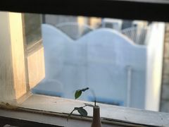 -飛鳥製茶