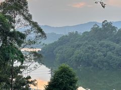 -天鹿湖森林公园