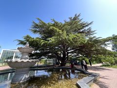 -国家植物园南园