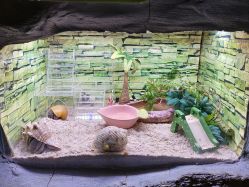 -Zoolung Zoolung动物主题公园(海信广场店)