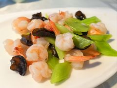 -云中小雅
