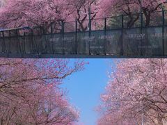 -吉林大学(南岭校区)