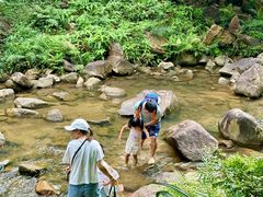 -广州白江湖森林公园