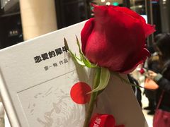 -北京喜剧院