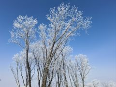 -中旅松花湖滑雪场