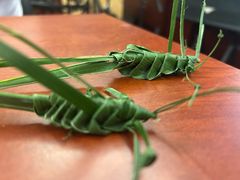 -B&C黄油与面包·THE GARDEN BAKERY概念店(世纪汇店)