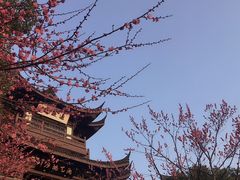 -范蠡湖公园