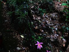 -山间农家