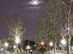 -凤凰湘语·湘粤鲜融(浦东旗舰店)