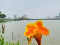 -顺峰山公园