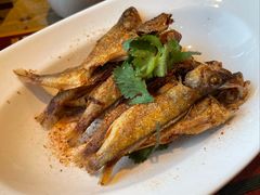 -巴依老爷新疆美食(工体旗舰店)