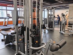 -健身专家Wellness Experts