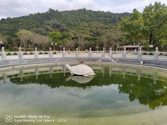-顺峰山公园