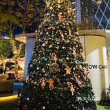 在LAVO享受一人餐的快乐，超满足[胜利][亲亲][胜利]