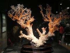 -台北故宫博物院