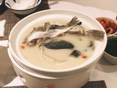 养颜白汁河豚-肆月河豚·新淮扬(金融街店)
