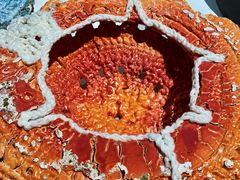 -浙江西湖美术馆