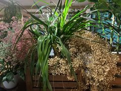 -春暖花开(西溪店)