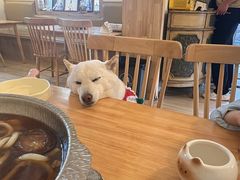-柴の食堂·日式家庭料理·熊之肆(大学路店)