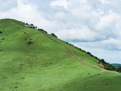 -大姆山草场