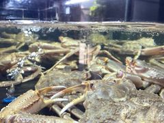 -许家菜(望江店)