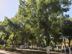-金银湖国家城市湿地公园