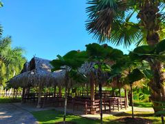 -中国科学院西双版纳热带植物园