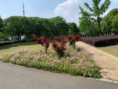 -九里河湿地公园