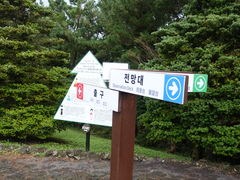 -济州森林小火车生态公园