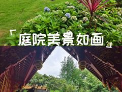 -铁像寺水街