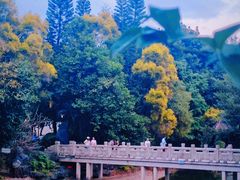 -深圳国际园林花卉博览园