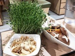 -海底捞火锅(正大乐城店)