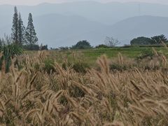 -良渚古城遗址公园