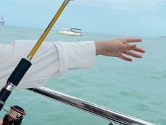 -小猫钓鱼海钓俱乐部(椰梦长廊店)