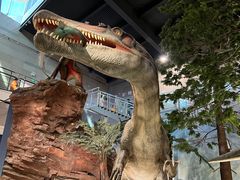 -湖南省地质博物馆