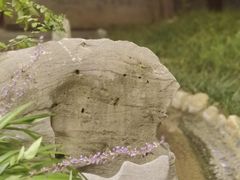-台儿庄古城