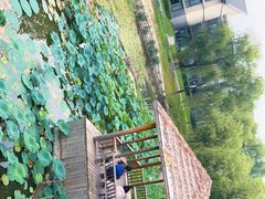-稻香湖景欢乐岛温泉城堡