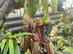 -国家植物园南园